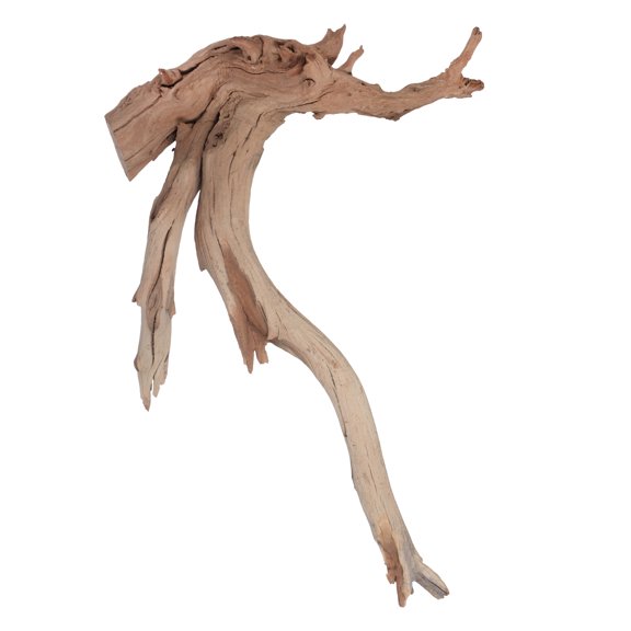 Vickerman Ghostwood Manzanita Sand Blasted 18", Dried