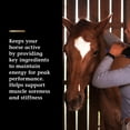 thumbnail image 5 of Vita Flex Vita Flex Pro Lactanase Performance Supplement for Horses 25 grams, 5 of 11