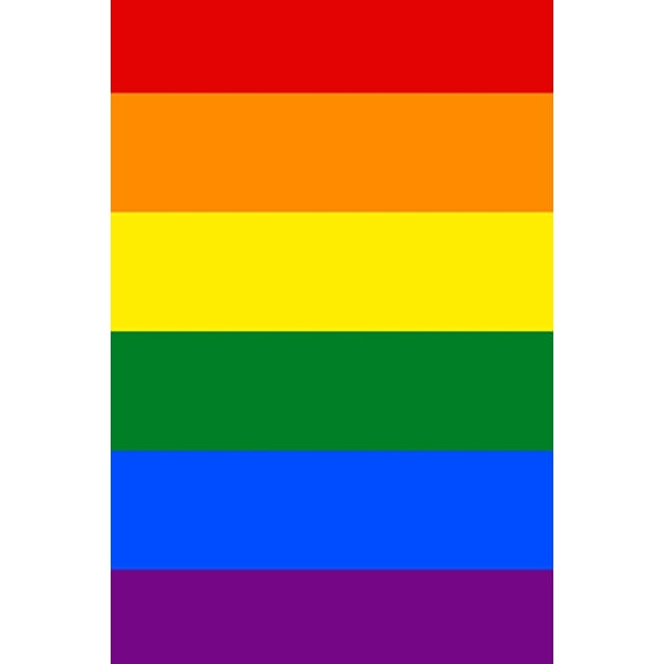 2020 Daily Planner Rainbow Gay Flag LGBTQ Design 388 Pages 2020 
