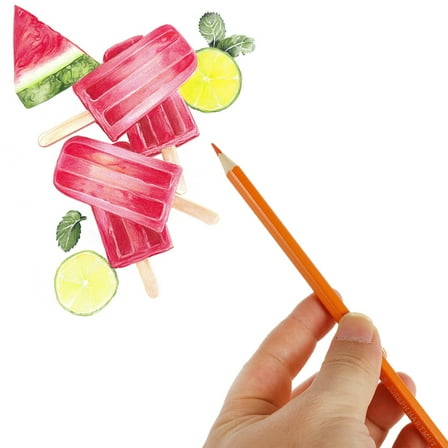 ROSENICE 36Pack Adult Crayons Assorted Color Camellia Wood for Coloring Supplies 6.7*0.3in