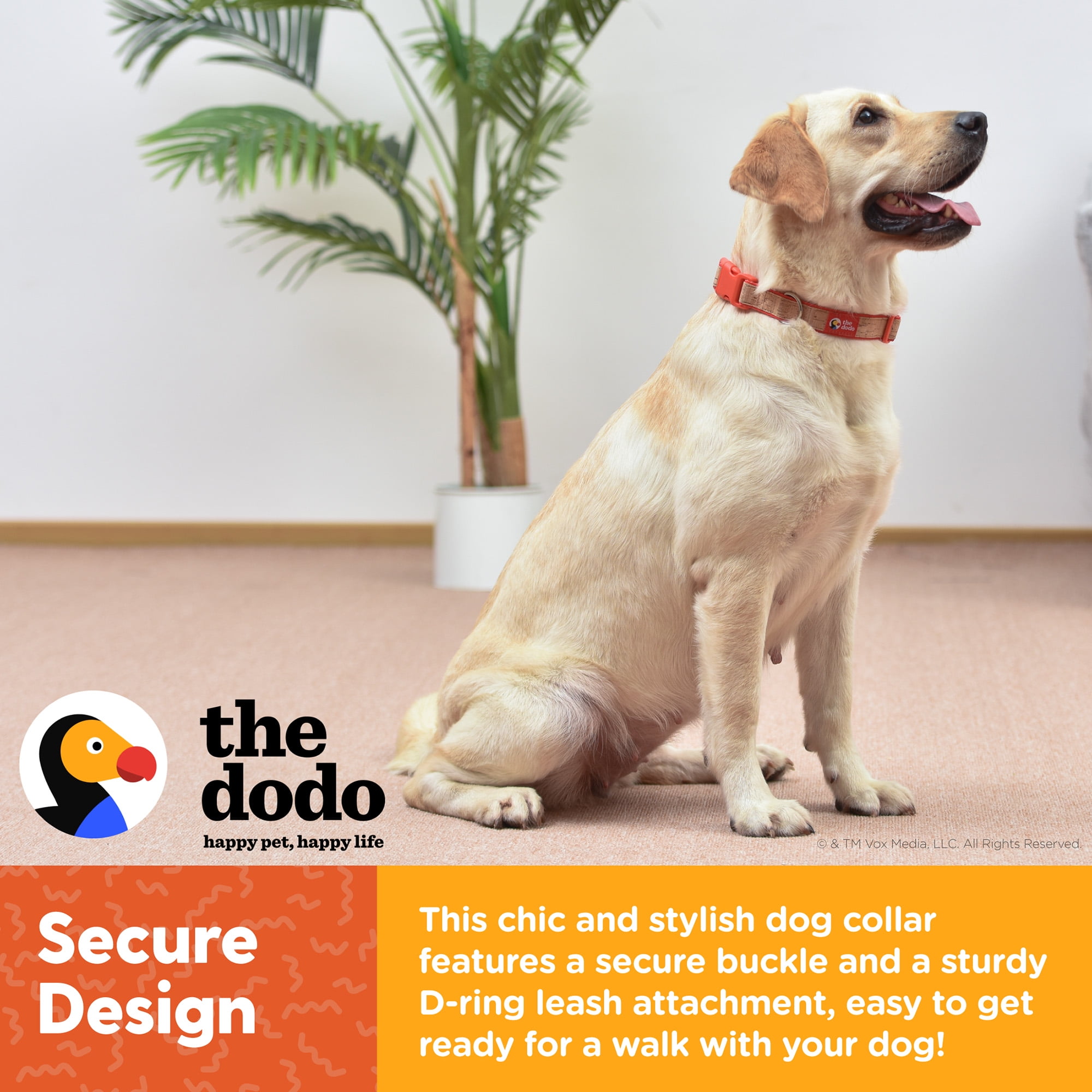 10 Dog Training Tools The Pros Love - DodoWell - The Dodo