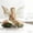 D, variant on NWOKYZGH Fairy Figurines, Angel Girl Butterfly Fairy Statues, Creative 2D Flat Angel Girl with Butterfly and Mushroom Desktop Ornament Figurines for Home Ornament Decor