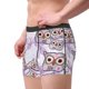 thumbnail image 2 of Fotbe Owl And Floral Calzoncillos Tipo Boxer con Bolsa de Soporte Total para Hombre, X-Temp Fresco, Transpirable y de Secado Rápido-Large, 2 of 5