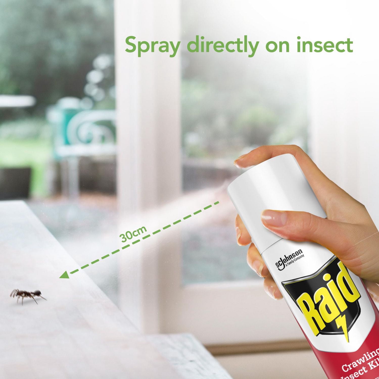 Raid Essentials Ant and Spider Insect Killer Spray, for Indoor Use, 350g