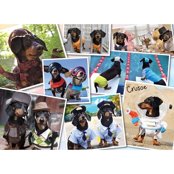 Crusoe's Greatest Hits 1000-Piece Puzzle