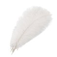 thumbnail image 1 of EIMELI 10pcs White Natural Ostrich Feathers for Party  Wedding  Masquerade and Home Decorations  Crafts, 1 of 10