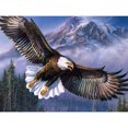thumbnail image 1 of Kits de pintura de diamante de águila voladora, taladro cuadrado completo, decoración de pared para el hogar, arte artesanal Sywqhk Decoración hogareña, 1 of 9