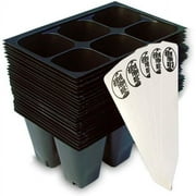 Seedling Starter Trays - 144 Cells 24 Trays - 6 Cells per Tray + 5 THCity Stakes