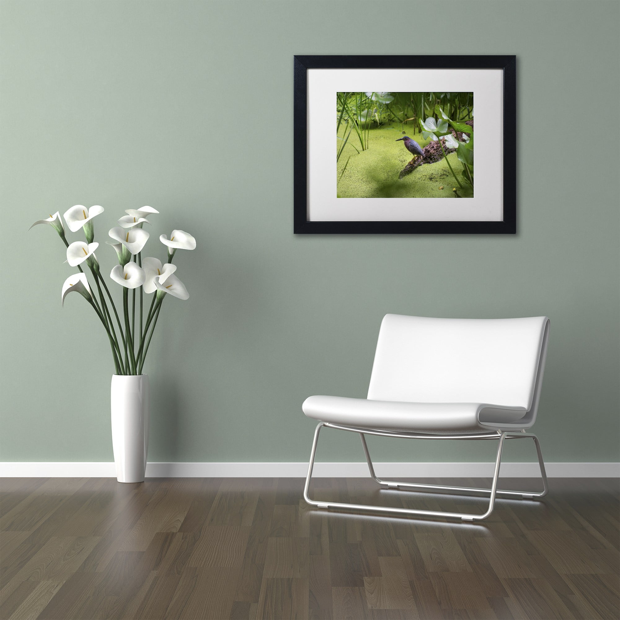 Trademark Fine Art "Green Heron" Canvas Art by Kurt Shaffer, White Matte, Black Frame