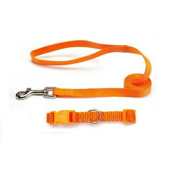 Nylon Solid Color Dog Collar and Lead 2 Piece Sets Durable Adjustable Selections (Orange,xSmall)