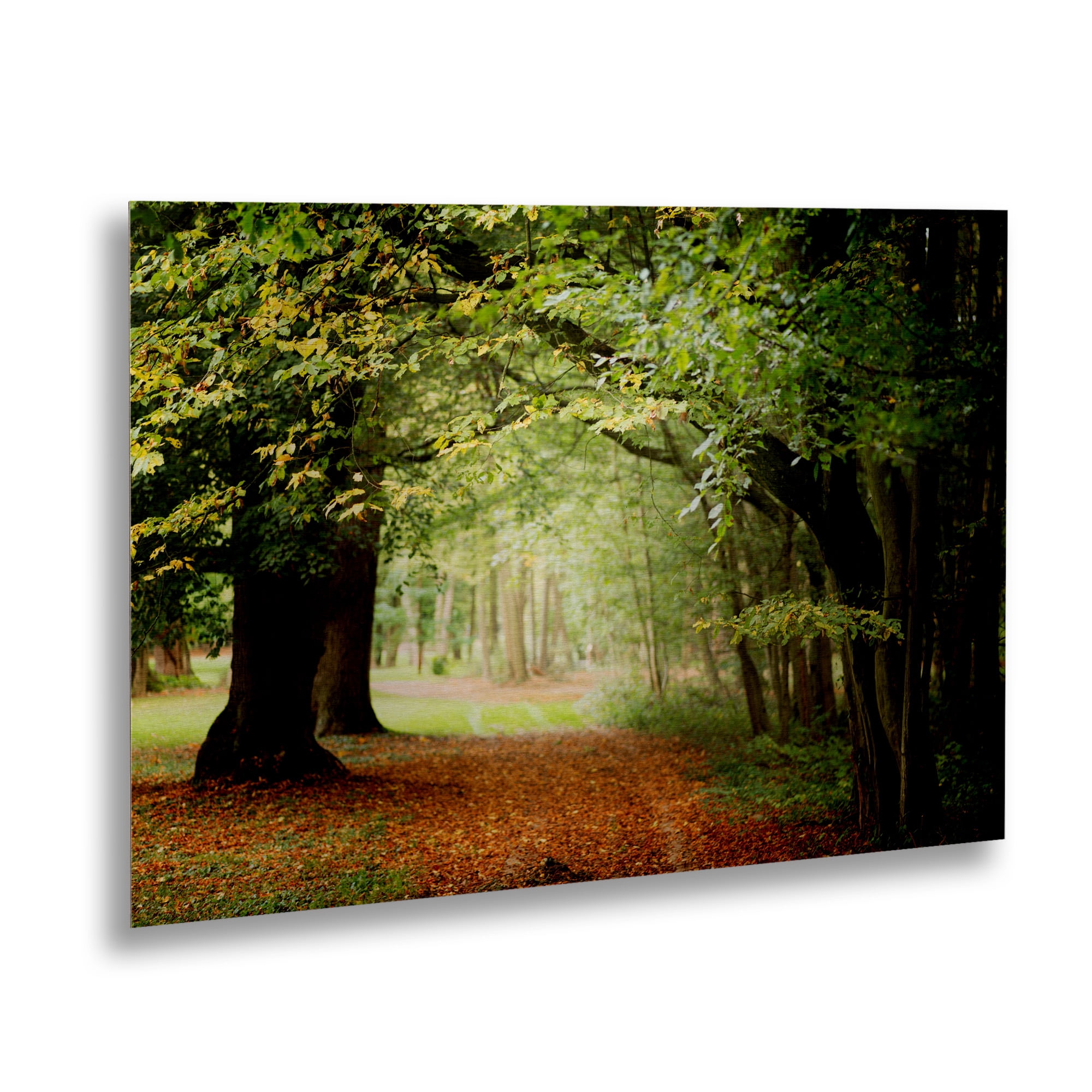 Trademark Fine Art 'Through the Woods' Brushed Aluminum Wall Art Art by Philippe Sainte-Laudy