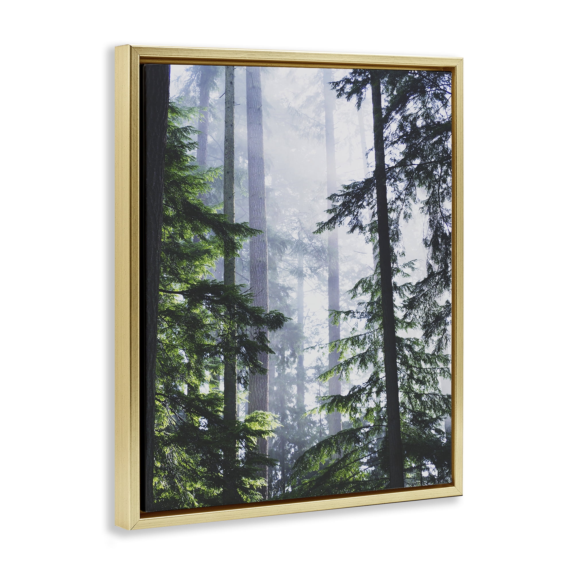 Stupell Industries Foggy Forest View Landscape Photography Gold Floater Framed Art Print Wall Art, 17 x 21