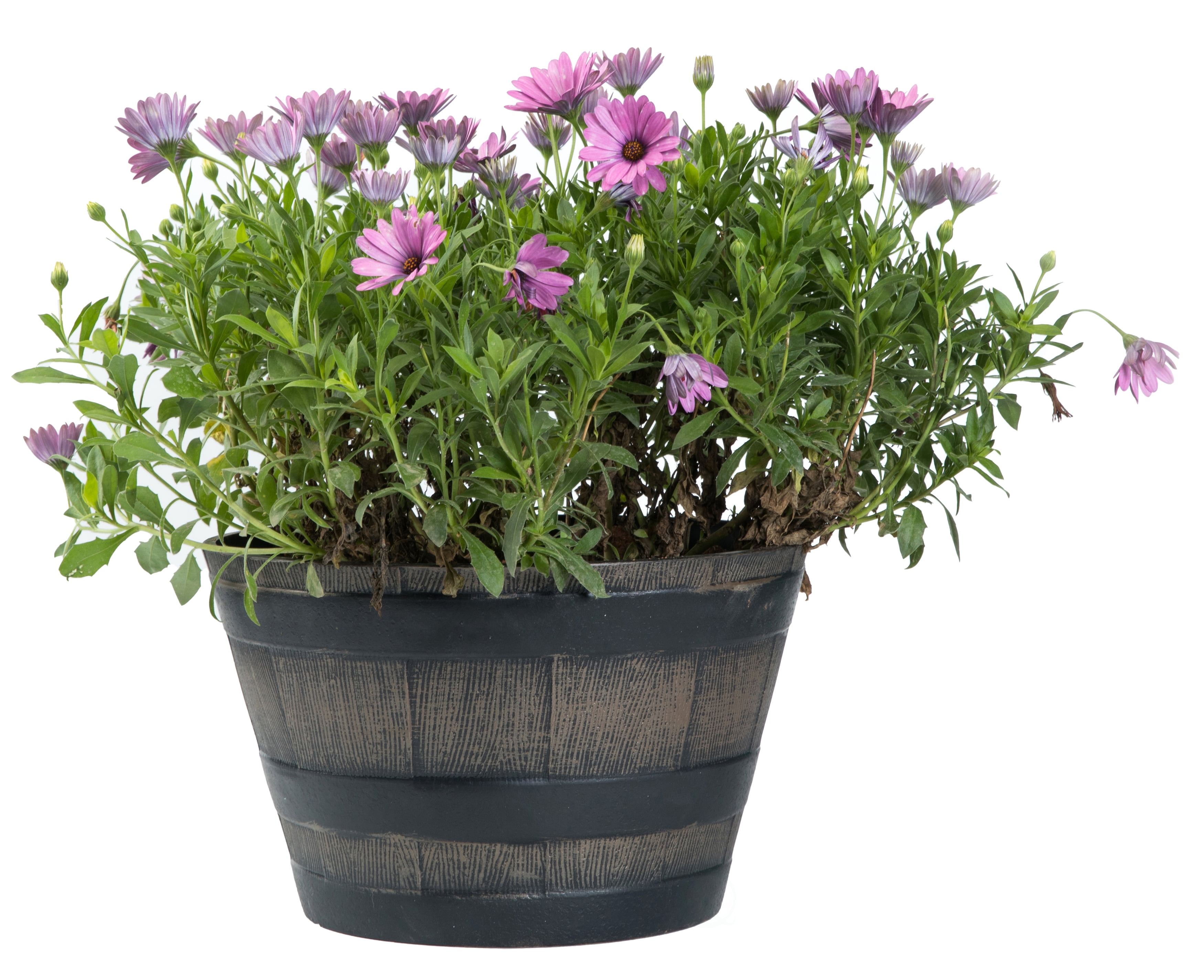 Gardenised 4-Piece Round Half Barrel Flower Pots Rustic Farmhouse Style Faux Wood Planter Containers for Indoor & Outdoor Use Perfect for Displaying Decorative Garden Florals Herbs & Succulents