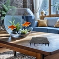 thumbnail image 4 of Luxshiny 20Ud Plato Acuario Negro Con Recogida Eficiente De Residuos, 4 of 6