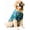 Dark Blue, variant on Harikaji Large Dog Hawaiian Costume, Dog's Cool T-Shirts Summer Clothes, Hawaiian Shirt for Large Dogs, Design for Summer Luau Style Beach Camp Vacation Blue 8XL