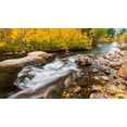 thumbnail image 2 of Bishop, Russ 24x15 Black Ornate Wood Framed with Double Matting Museum Art Print Titled - Fall color along Bishop Creek-Inyo National Forest-California-USA, 2 of 4