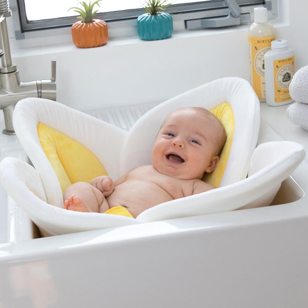 Blooming Baby Bath Lotus, Yellow/Brown