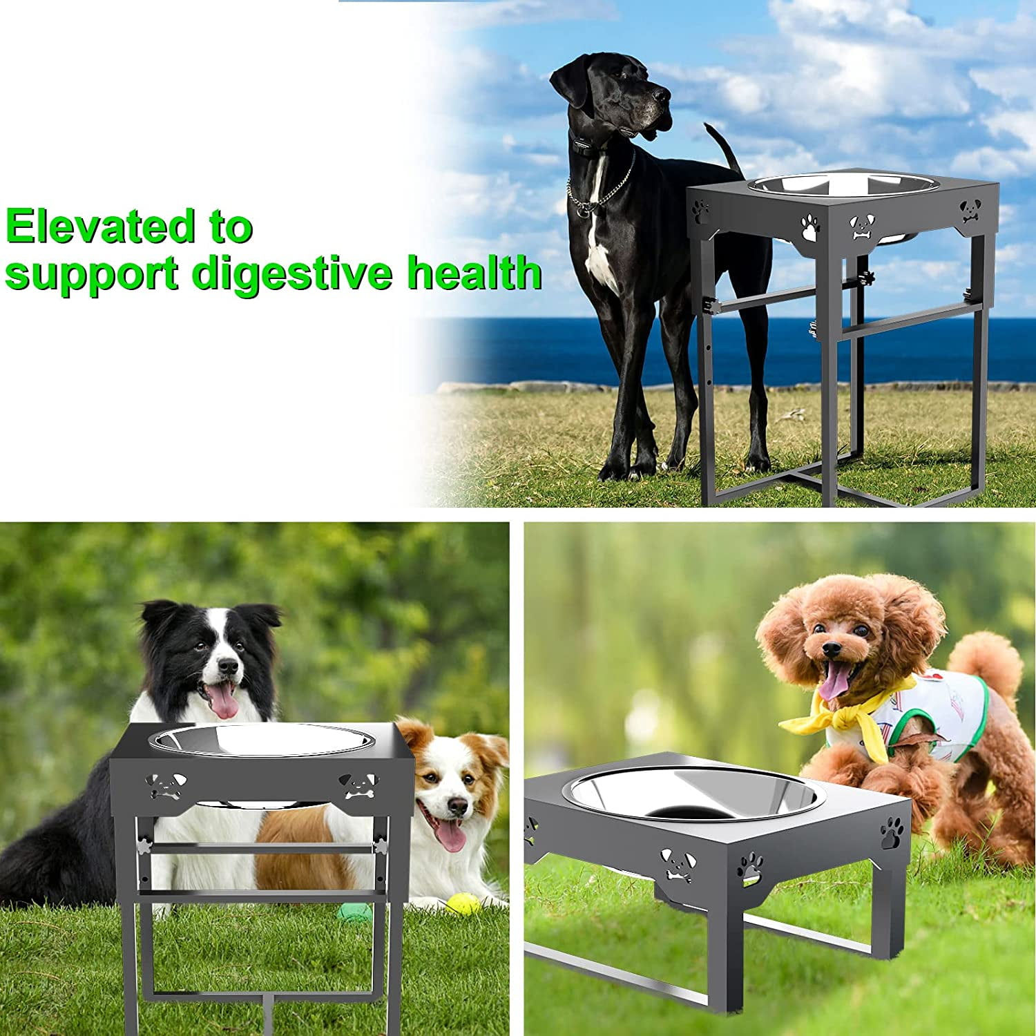 Elevated Dog Bowls For Large, Medium, And Small Dogs - Promotes Healthy  Digestion And Comfortable Feeding - Temu
