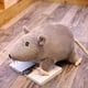 thumbnail image 5 of Simulated 3d Mouse Rat Animal Soft Plush Doll Toy Sofa Couch Decor New Year Gift, 5 of 5