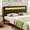 Black, variant on Rolanstar Twin Size Headboard Only - Wall Mount Upholstered Head Board with LED Lights, Charging Station & Soft Padding,White