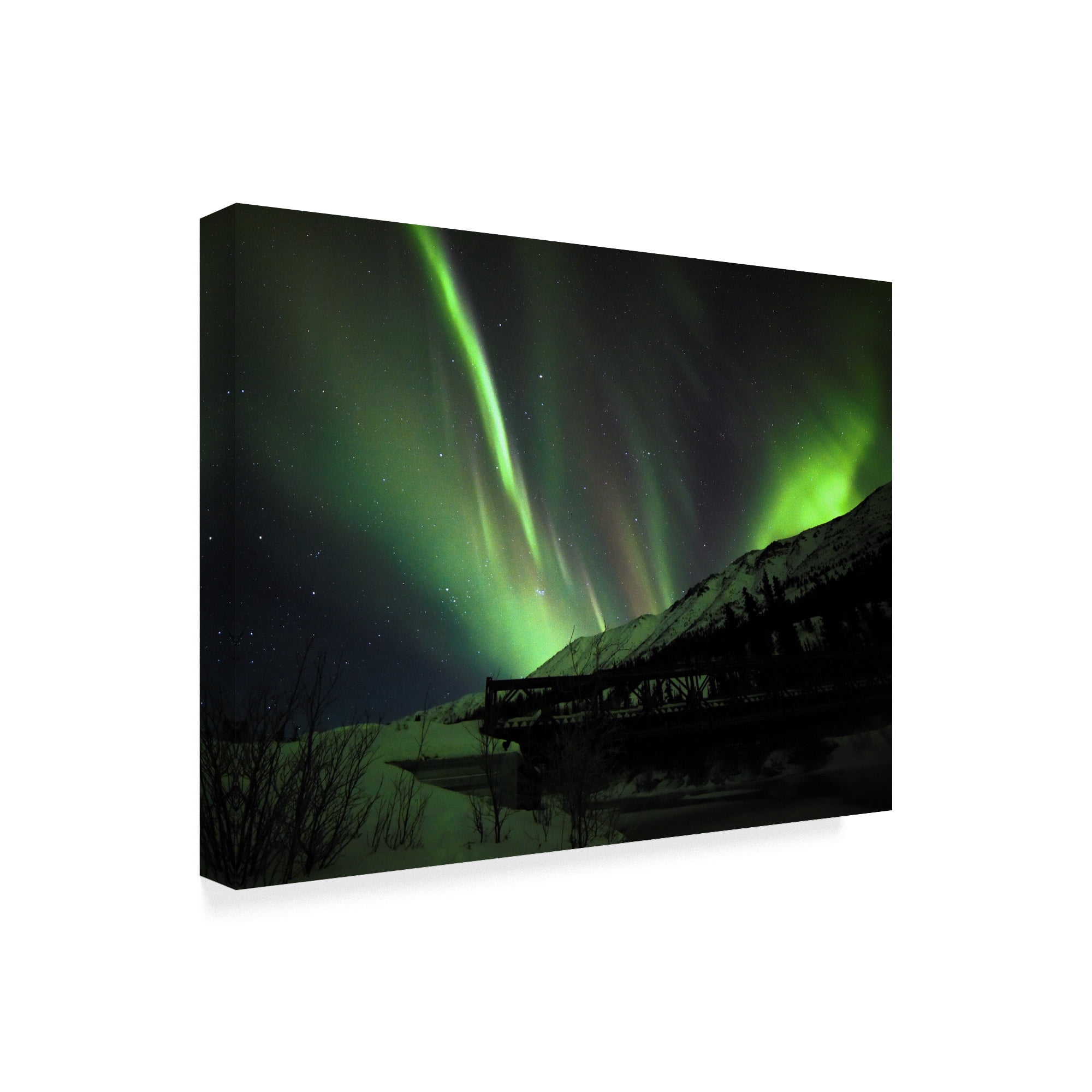 Trademark Fine Art 'Aurora Delight' Canvas Art by Brenda Petrella Photography Llc