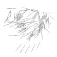 thumbnail image 2 of 100 piezas de vástago de cuerda de reloj para movimiento ETA 46941 46945 8200 8205 7009 2836, 2 of 7