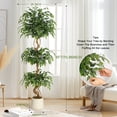thumbnail image 3 of 6ft Ficus Artificial Trees, Lifelike Faux Tree, Green Lush Fake Ficus Tree Artificial Plants for Office Home Living Room Indoor Outdoor Modern Decor, Perfect Housewarming Gift, 3 of 8