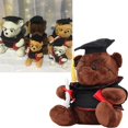 thumbnail image 1 of Oso de Peluche Muñeco de Oso Suave Muñeco de Peluche con Diploma de Oso de Peluche para Niños y Niñas ANGGREK Otros, 1 of 8