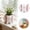 C - 11.6x8.6x6.7cm, variant on Garden Flower Pot Indoor Outdoor Planting Container Home Decorative Planter Courtyard Floral Display Holder Balcony Growing Vessel Landscape Arranging Accessory ,C - 11.6X8.6X6.7Cm