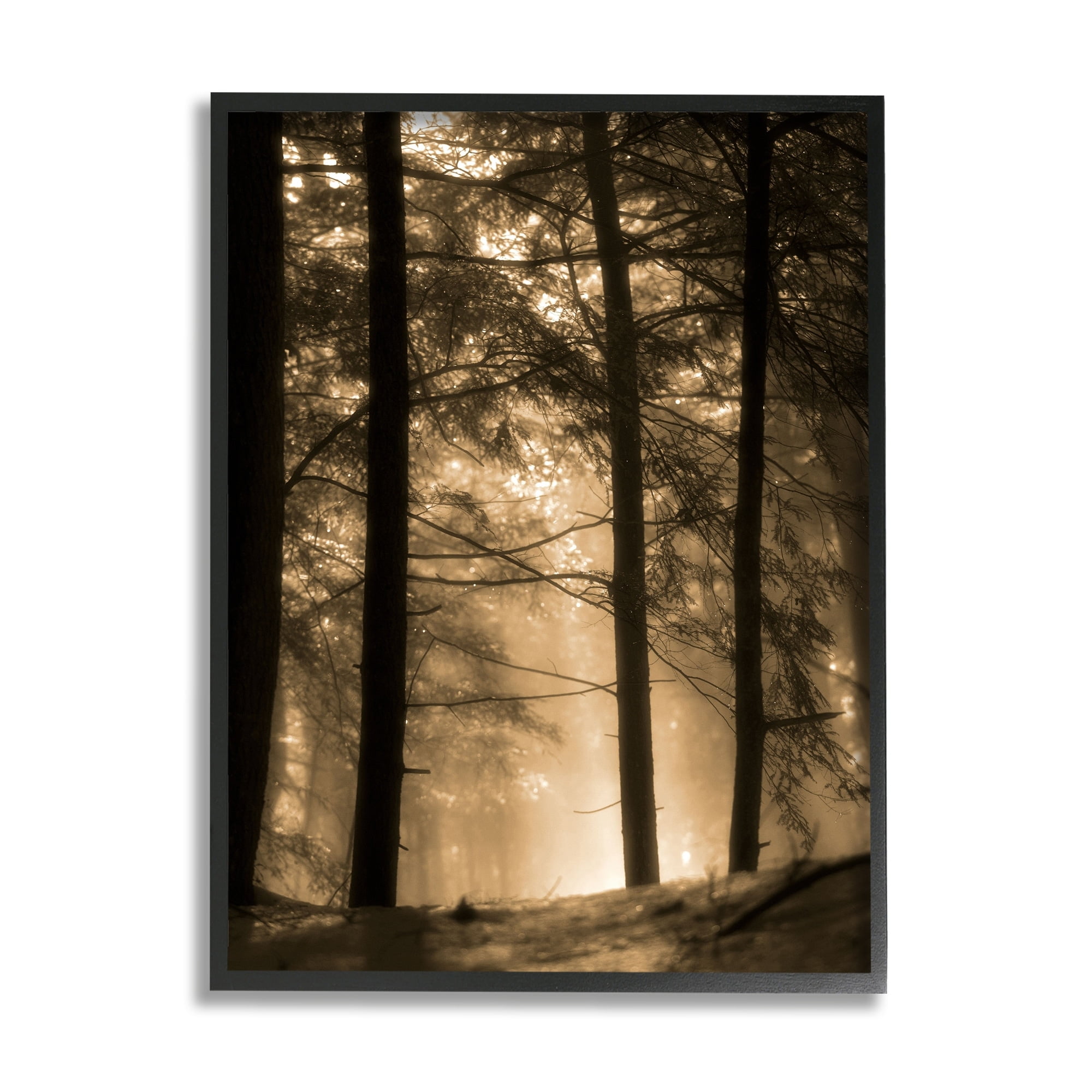Stupell Industries Light Through Forest Tree Top Foggy Woodland Photography, 16 x 20,Design by Daniel Sproul