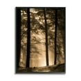 thumbnail image 2 of Stupell Industries Light Through Forest Tree Top Foggy Woodland Photography, 16 x 20,Design by Daniel Sproul, 2 of 5