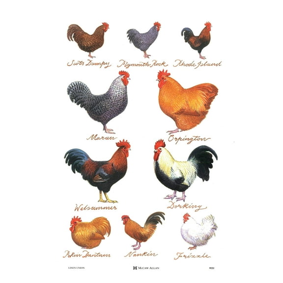 Samuel Lamont Chicken Breeds Linen Union Tea Towel