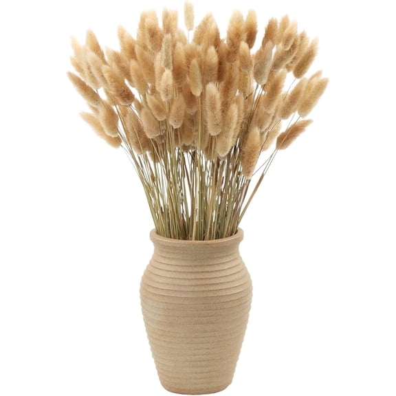 MIHUAGE 120PCS 17-Inch Natural Bunny Tail Grass Dried Rabbit Tail Pampas Grass Floral Arrangement for Boho Wedding Home Decor.