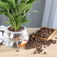 thumbnail image 3 of Guijarros de arcilla expandida de 1 cuarto de galón, bolas de arcilla de 8 mm a 14 mm para plantas, acuaponía y otros elementos esenciales de jardinería., 3 of 5