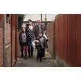 thumbnail image 3 of I, Daniel Blake (Criterion Collection), 3 of 3