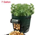 thumbnail image 1 of Matsuzay GAL Potato Grow Planter Contenedor Bolsa Bolsa Plant Growing Pot Ventana lateral Jardín y Patio No.2 Matsuzay HA026182-02, 1 of 6