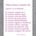 thumbnail image 3 of CafePress - What Cancer Cannot Do Poem Zip Hoodie - Zip Hoodie, Classic Hooded Sweatshirt with Metal Zipper, 3 of 4