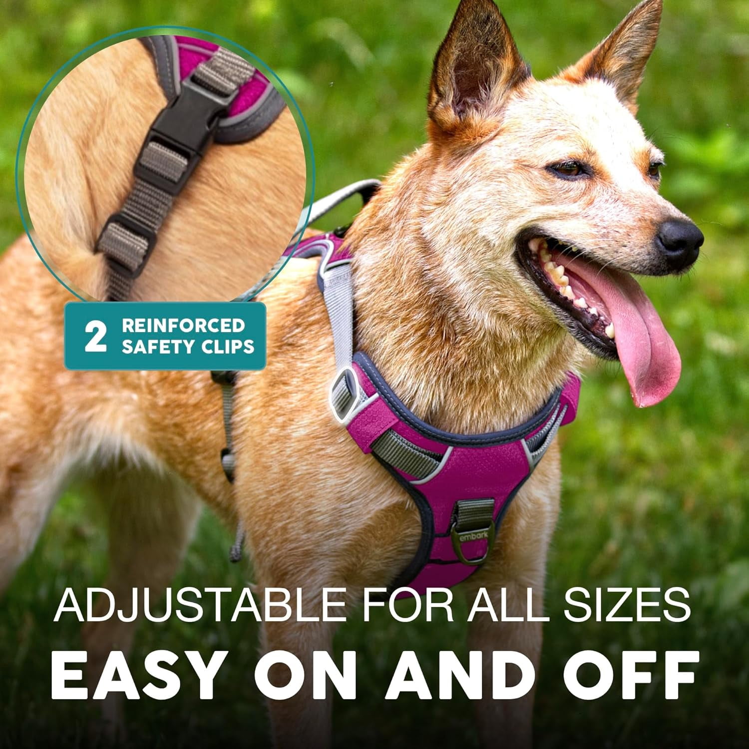Embark Adventure Dog Harness, No-Pull Reflective Trim Dog Harness for Small, Medium & Large Dogs - Military Grade Nylon, 2 Leash Clips & Gel Lined Handle. Soft & Padded Puppy Dog Vest for Any Breed