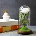 thumbnail image 2 of Lámpara De Rosa De Simulación, Rosa Inmortal, La Bella Y La Bestia, Linterna De Rosa, Flor Eterna, Cubierta De Cristal, Decoración, Decoración De Luz Rosa Guardurnaity HA026722-03, 2 of 5