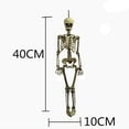 thumbnail image 4 of 16 inch Posable Life Size Human Adult Skeletons Plastic Human Bones with Movable Joints for Halloween Decoration, 4 of 4