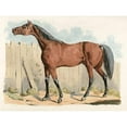 thumbnail image 3 of Alken, Henry Thomas 24x19 Black Modern Framed Museum Art Print Titled - Dark-Brown Horse, 1817, 3 of 5