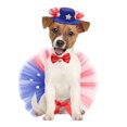 thumbnail image 3 of 3 Pieces Pet Patriotic Costume Adjustable Dog Hat Bandanas Mesh Tutu Skirt Puppy Scarf Cat Collar Independence Day Caps Bowtie Dress Dog Independence Day Costume - style:style2;, 3 of 5