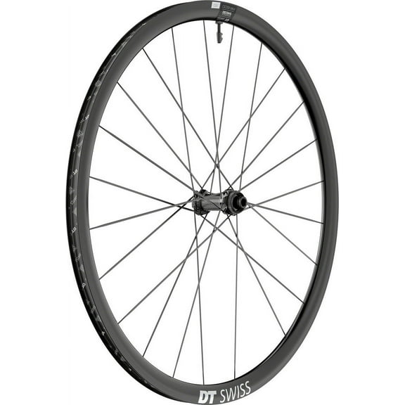 DT Swiss AR 1600 Spline 30 Front Wheel - 700, 12 x 100mm, Center-Lock, Black