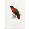 thumbnail image 1 of ARTCANVAS Black-Capped Lory Canvas Art Print by Edward Lear - Size: 12" x 8" (0.75" Deep), 1 of 9