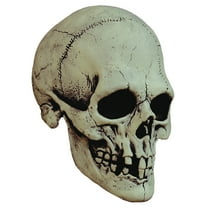 Trick or Treat Studios Adult Nightowl Skull Costume Mask - Size
