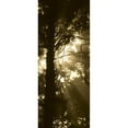 thumbnail image 3 of Berzel, Erin 8x14 Black Modern Framed Museum Art Print Titled - Sepia Shadows I, 3 of 5