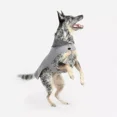 thumbnail image 4 of Chaleco Epernay Gris Para Perro Marca Mes Amis, 4 of 5
