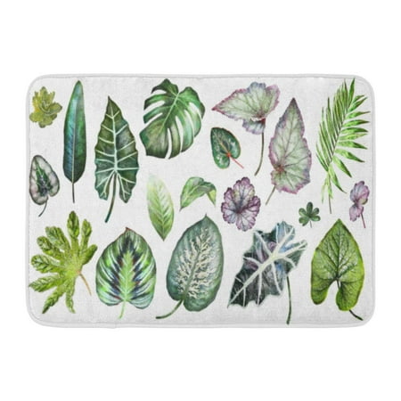 Tropical Leaf Collection GODPOK Plants Herbs Leaf Tropical Collection Leaves Botanical White Exotic Watercolor Style Green Nature Rug Doormat Bath Mat 23.6x15.7 inch ()