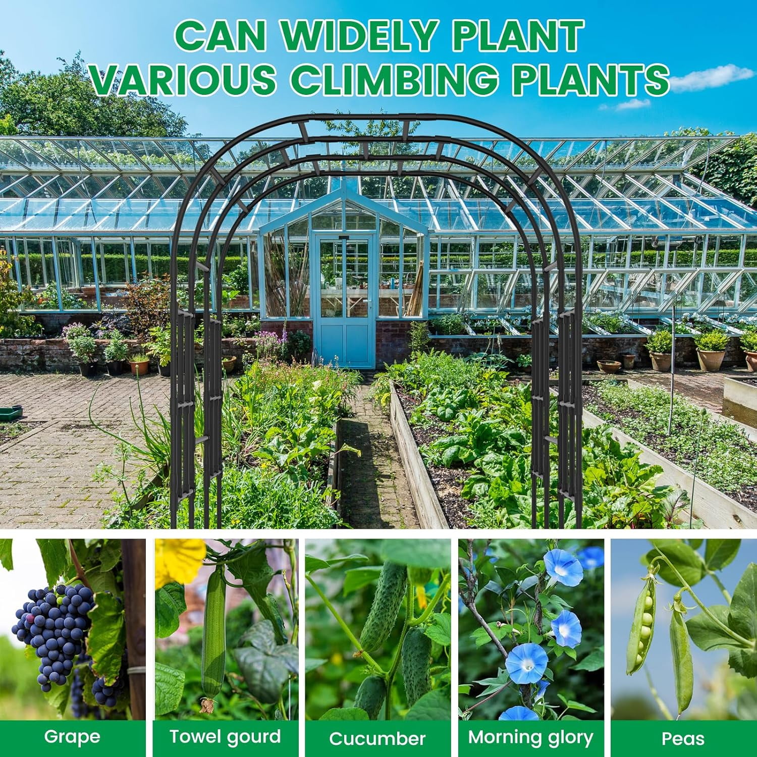 FICISOG Outdoor Garden Arch Trellis, 118" x 79" x 87" Extra Large Garden Trellis for Climbing Plants Outdoor, Plant Support for Cucumber Grape Vine Vegetable Fruit and Garden Gazebo