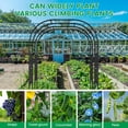 thumbnail image 2 of FICISOG Outdoor Garden Arch Trellis, 118" x 79" x 87" Extra Large Garden Trellis for Climbing Plants Outdoor, Plant Support for Cucumber Grape Vine Vegetable Fruit and Garden Gazebo, 2 of 7